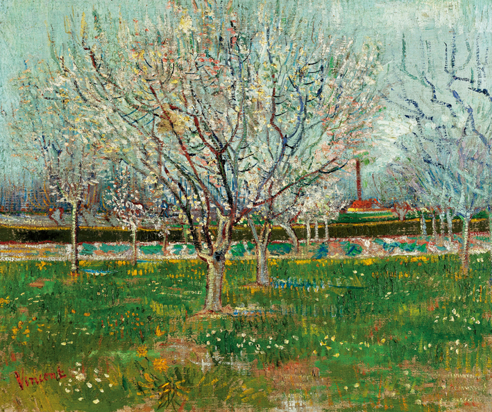  文森特·威廉·梵高  Vincent Willen Van Gogh —— 李树开花 1888